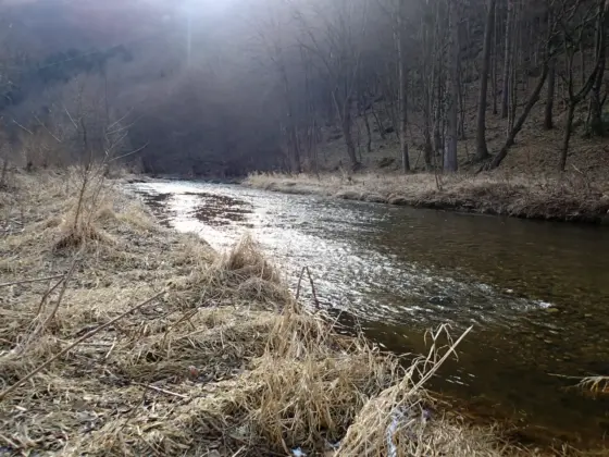 GPK Kremsfluss 03