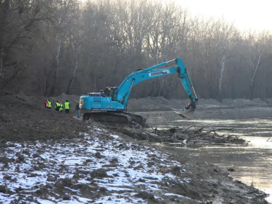 Rückbau Donau-Auen 02